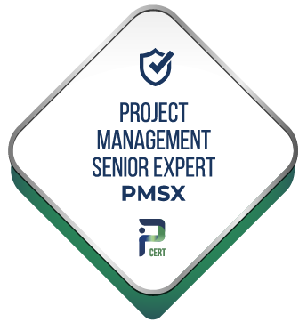 Project Management Senior Expert - PMSX