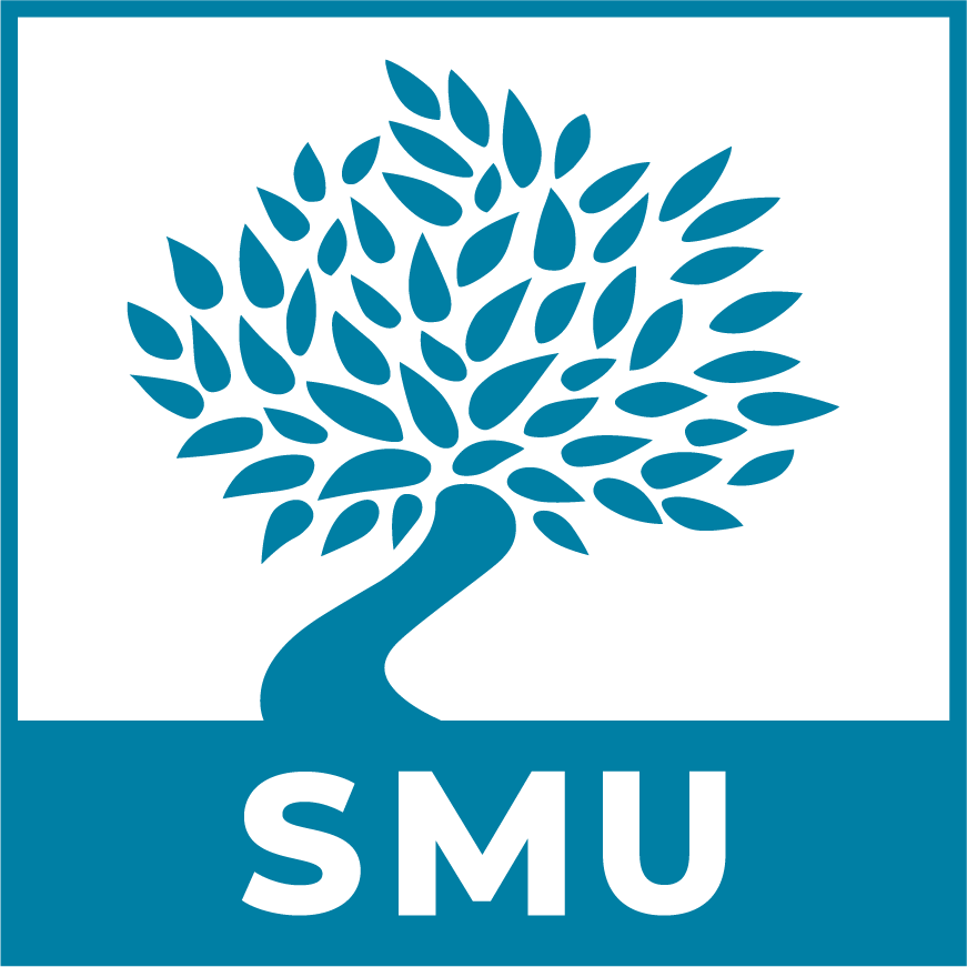 Digital Learning Certificate
