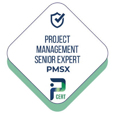 Project Management Senior eXpert - PMSX