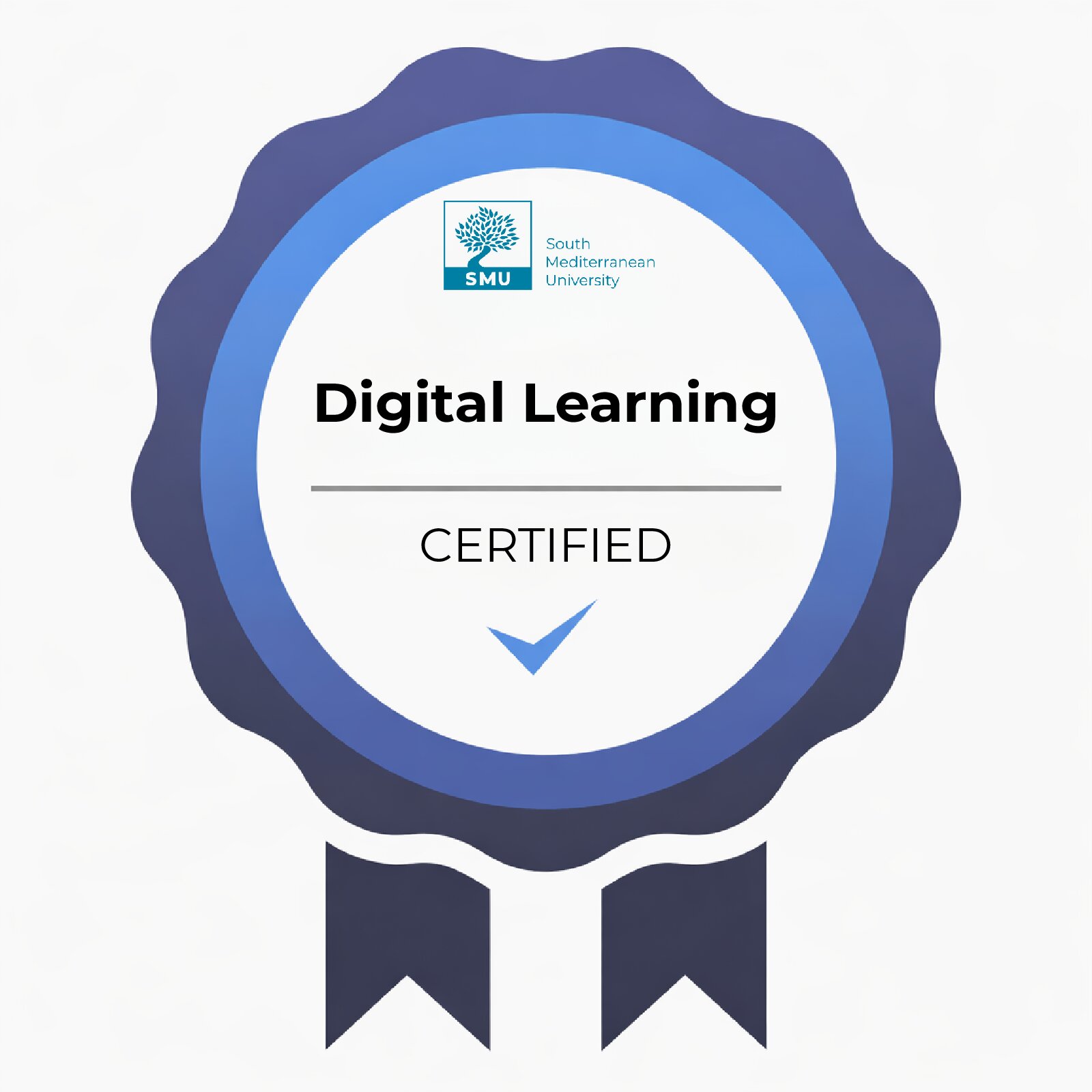 Certificate for Hassen Ouakad